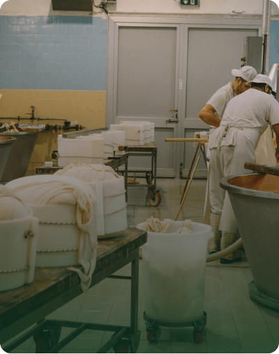 Facility Quality Testing